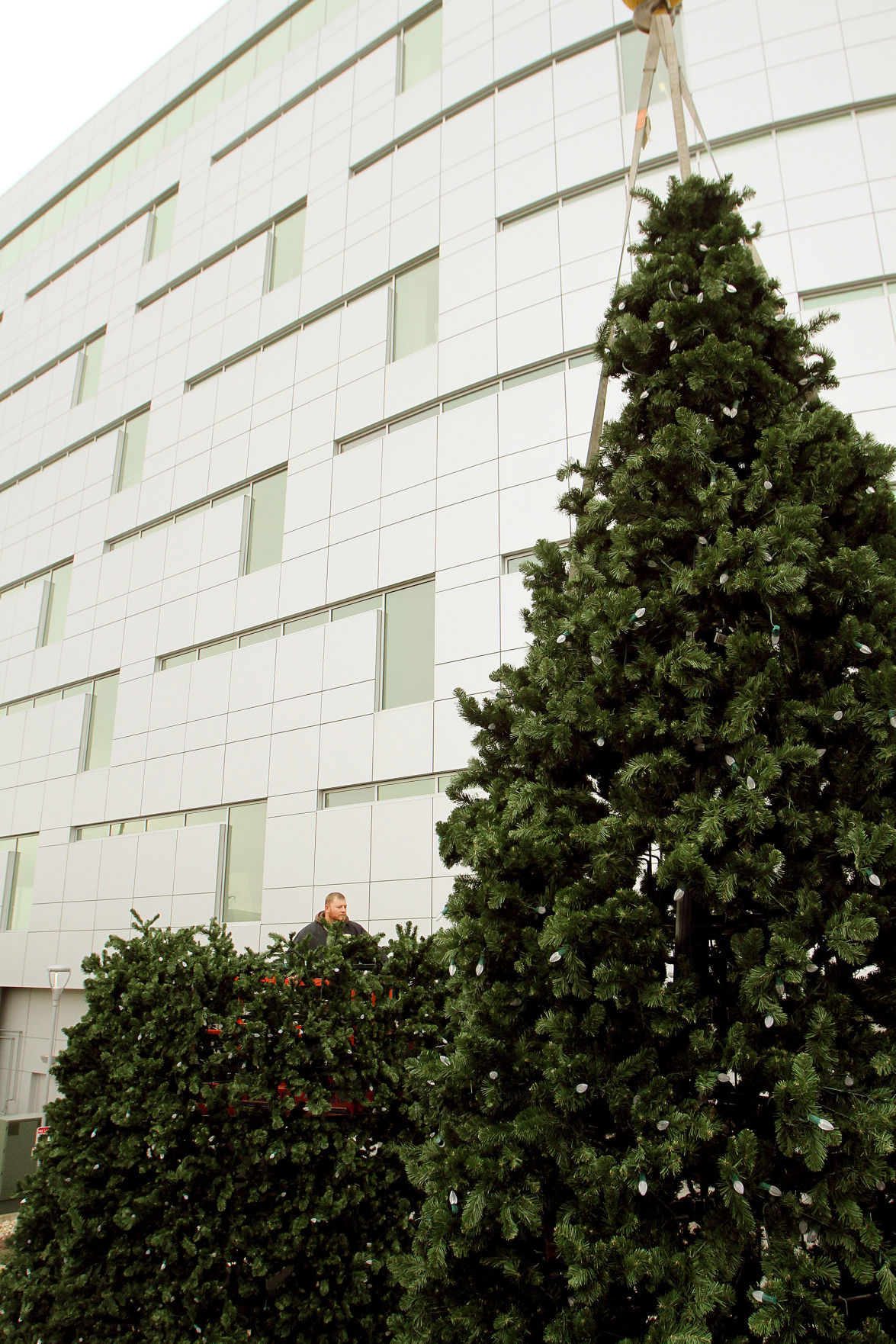 112015-kone-tree-005